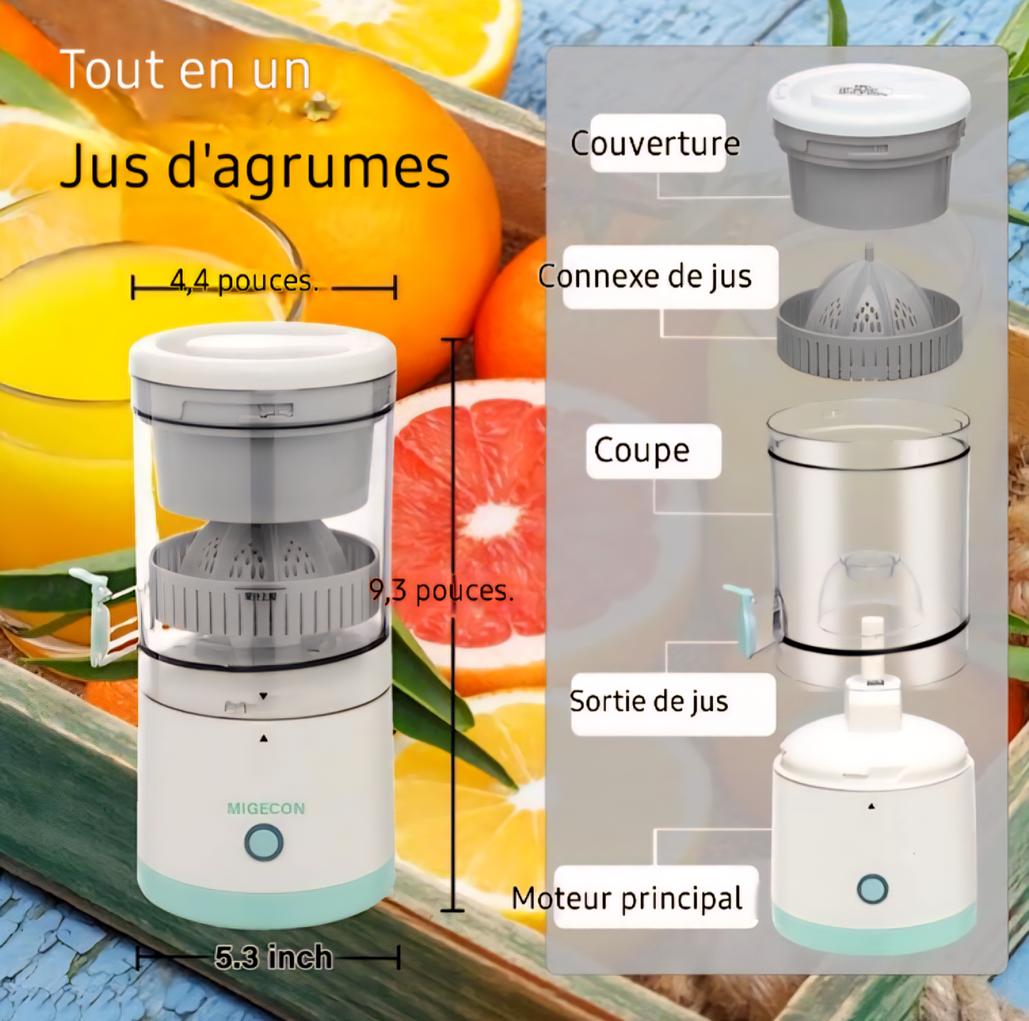 Extracteur de jus