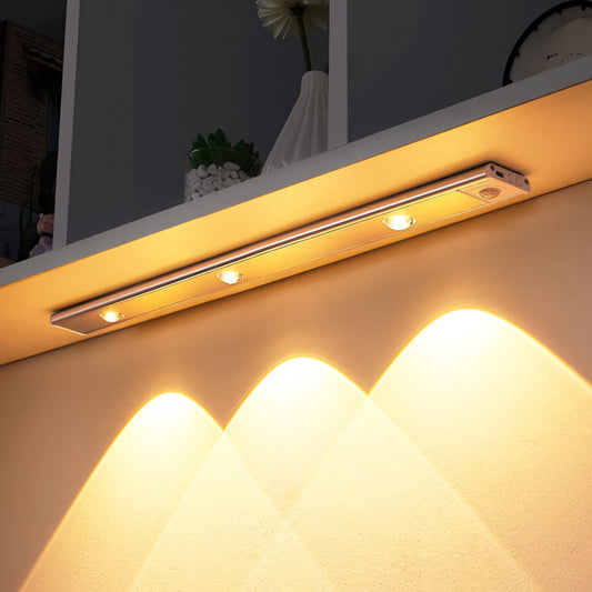 2 lumières (détecteur de mouvement inclus) [40 cm]